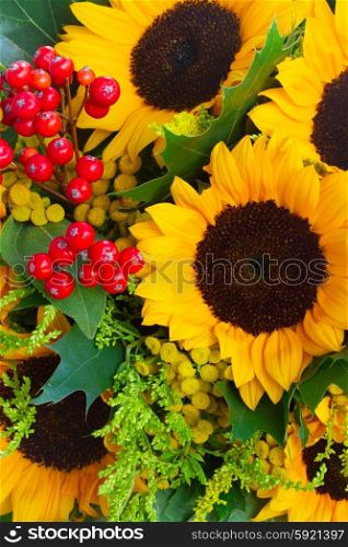 Sunflowers with green leaves . Sunflowers with green leaves and red berries close up background