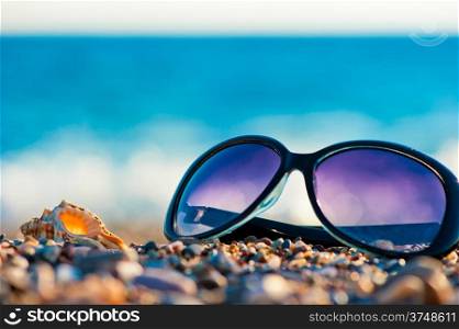 sunglasses and shells on the beach