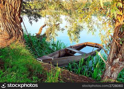 sunken old woden boat in summer lake