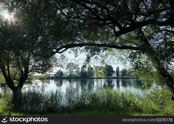 Sunlight and trees near the lake in Switzerland