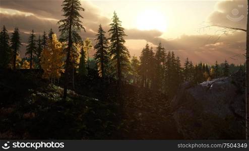 sunlight in forest in mountains, at sunset. Sunlight in Forest at Sunset