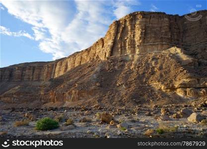 Sunlight on the rock in Negev desert, Isrel