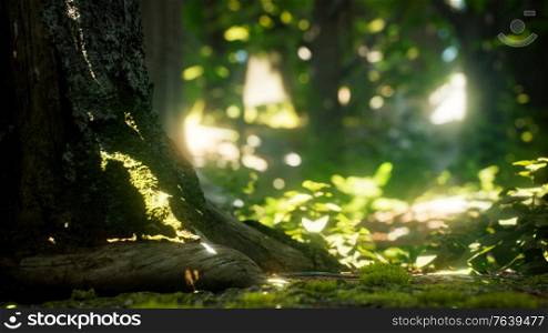 Sunlight rays pour through leaves in a rainforest