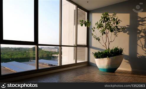 Sunlight shining through glass wall with decorative houseplant inside of office building area in modern style, interior architecture concept