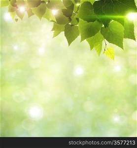 Sunlight through foliage, abstract natural backgrounds