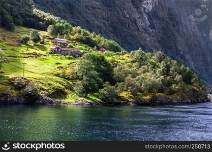 sunlit houses on the shore of fjord, Norway