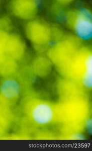 Sunny abstract green nature background, selective focus