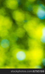 Sunny abstract green nature background, selective focus