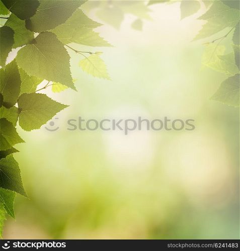 Sunny afternoon in the deep forest, natural backgrounds