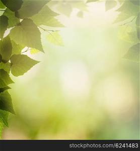 Sunny afternoon in the deep forest, natural backgrounds