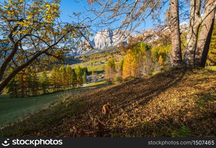 Sunny autumn alpine Dolomites mountain scene, Sudtirol, Italy. Peaceful view from Cortina d&rsquo;Ampezzo environs, Cristallo Group rocky mountain tops in far.