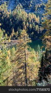 Sunny autumn alpine view. Peaceful mountain forest lake with clear transparent water and reflections. Untersee lake, Reiteralm, Steiermark, Austria.