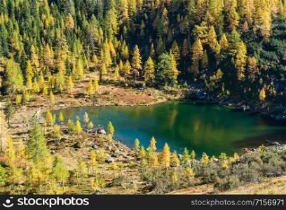 Sunny autumn alpine view. Peaceful mountain forest lake with clear transparent water and reflections. Untersee lake, Reiteralm, Steiermark, Austria.