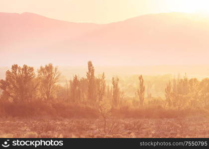 Sunny autumn meadow. Natural background.