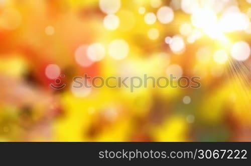 Sunny autumn motion background (seamless loop)