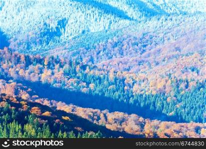 Sunny autumn mountain forest and first autumn frost on trees top (on mountainside).