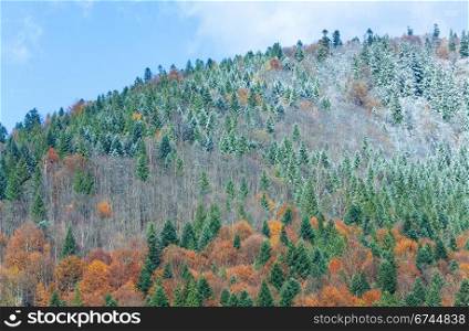 Sunny autumn mountain forest and first autumn frost on trees top (on mountainside).