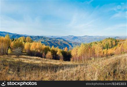 Sunny autumn mountain forest (on mountainside).