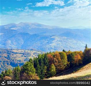 Sunny autumn mountain forest on mountainside (Carpathian, Ukraine)