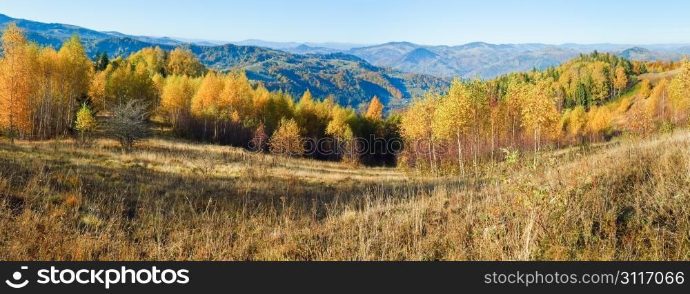Sunny autumn mountain forest (on mountainside). Two shots composite picture.