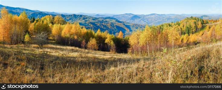 Sunny autumn mountain forest (on mountainside). Two shots composite picture.
