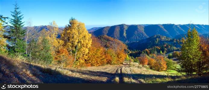 Sunny autumn mountain panorama with colorful trees and country road on mountainside.