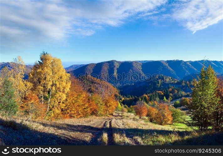 Sunny autumn mountain panorama with colorful  trees and country road on mountainside.