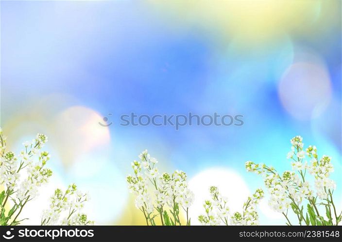 Sunny background. Abstract background with bokeh defocused lights.. Sunny abstract blue nature background.
