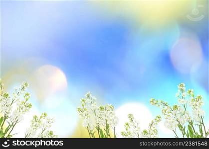 Sunny background. Abstract background with bokeh defocused lights.. Sunny abstract blue nature background.