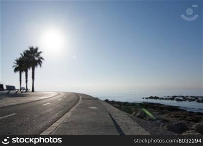 Sunny bike route with benches and palm trees backlit by a seaside curve along the Mediterranean on December 22, 2015 in Mallorca, Balearic islands, Spain