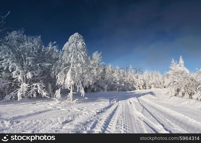 Sunny cold winter day in Belarus. Sunny cold winter day