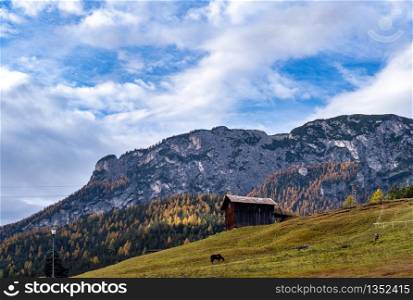 Sunny colorful autumn alpine Dolomites rocky mountain scene, Sudtirol, Italy. Peaceful view from alpine path road. Picturesque traveling, seasonal, nature and countryside beauty concept scene.