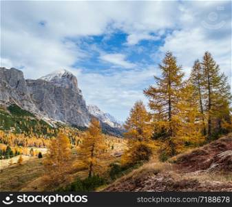 Sunny colorful autumn alpine Dolomites rocky mountain scene, Sudtirol, Italy. Peaceful view from Falzarego Path. Picturesque traveling, seasonal, nature and countryside beauty concept scene.