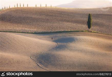 Sunny countryside valley. Tuscany, Italy, Europe.