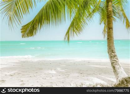 Sunny day at amazing tropical beach with palm tree, white sand and turquoise ocean waves. Myanmar (Burma) travel landscapes and destinations