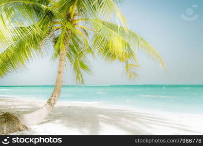 Sunny day at amazing tropical beach with palm tree, white sand and turquoise ocean waves. Myanmar (Burma) travel landscapes and destinations