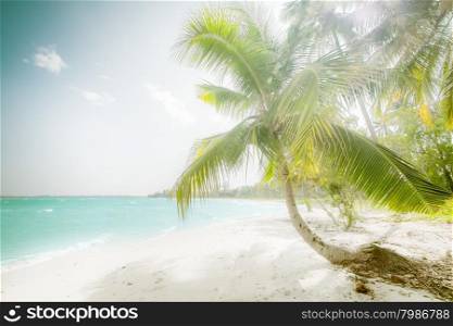 Sunny day at amazing tropical beach with palm tree, white sand and turquoise ocean waves. Myanmar (Burma) travel landscapes and destinations