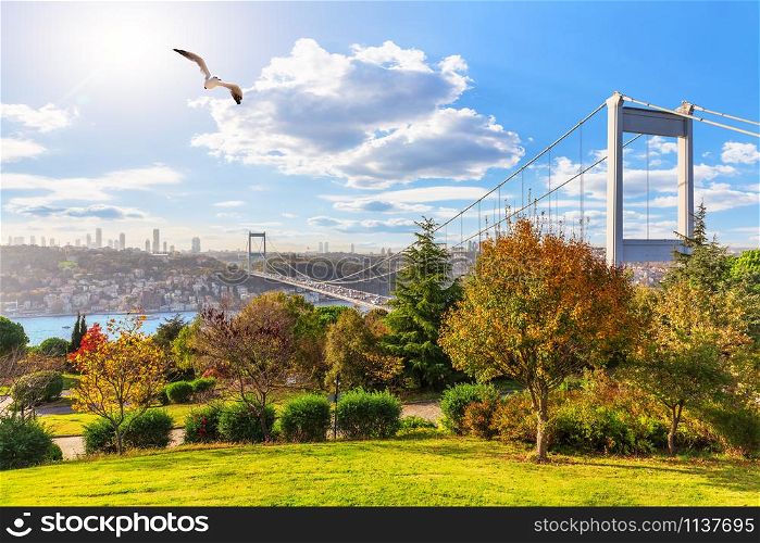 Sunny day in Otagtepe park, view on the Second Bosphorus Bridge, Istanbul, Turkey.. Sunny day in Otagtepe park, view on the Second Bosphorus Bridge, Istanbul, Turkey