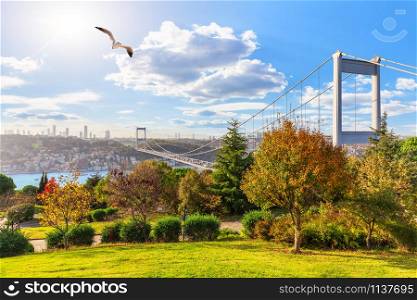 Sunny day in Otagtepe park, view on the Second Bosphorus Bridge, Istanbul, Turkey.. Sunny day in Otagtepe park, view on the Second Bosphorus Bridge, Istanbul, Turkey