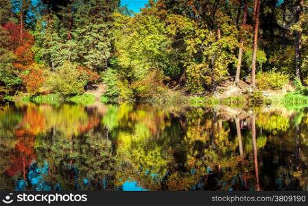 Sunny day in outdoor park with lake and colorful autumn trees reflection under blue sky. Amazing bright colors of autumn nature landscape