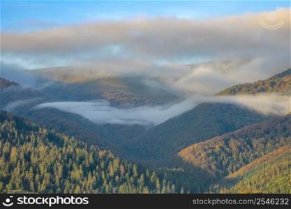 Sunny day in summer Ukrainian Carpathians. Light mist between wooded mountains. The first rays of the sun illuminate the mountain peaks. Day Fog over the Wooded Ukrainian Carpathians