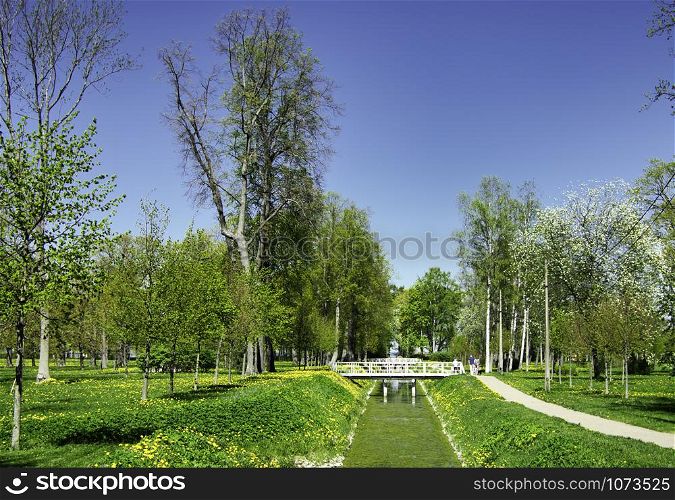 Sunny day in the park. Walking alley near the river among flowering trees. Spring park on a sunny day