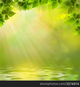Sunny day on the forest lake, abstract natural backgrounds