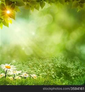 Sunny day on the meadow, environmental backgrounds