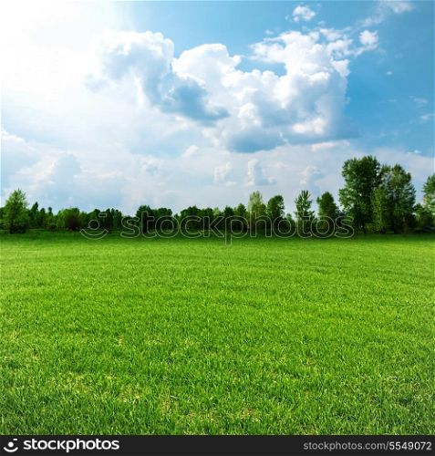Sunny day on the meadow, environmental backgrounds for your design