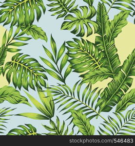 Sunny day on the tropical jungle blue sky green palm banana leaves exotic jungle background floral summer seamless vector pattern illustration