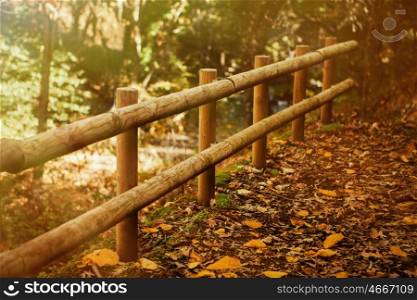 Sunny fence of logs in the Park in autumn, fallen leaves on the ground