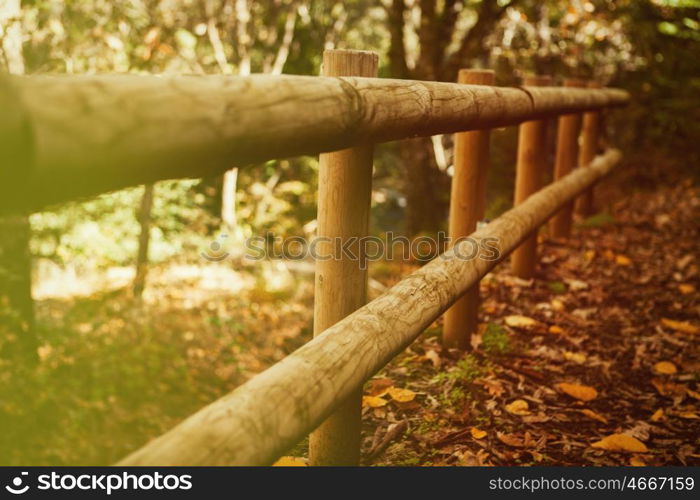 Sunny fence of logs in the Park in autumn, fallen leaves on the ground