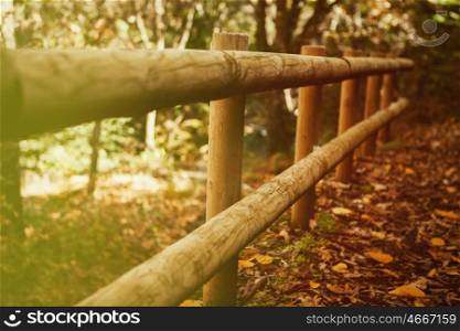 Sunny fence of logs in the Park in autumn, fallen leaves on the ground