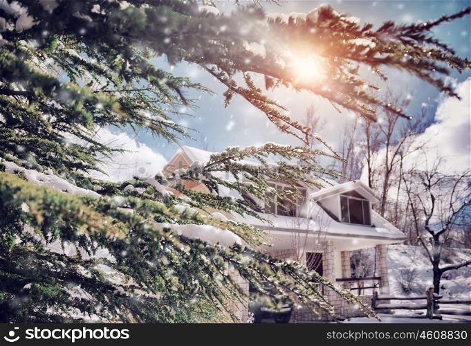 Sunny frosty day in countryside, view on luxury house through evergreen tree branches covered with snow, beauty of winter nature